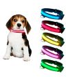 Collier LED Chiens