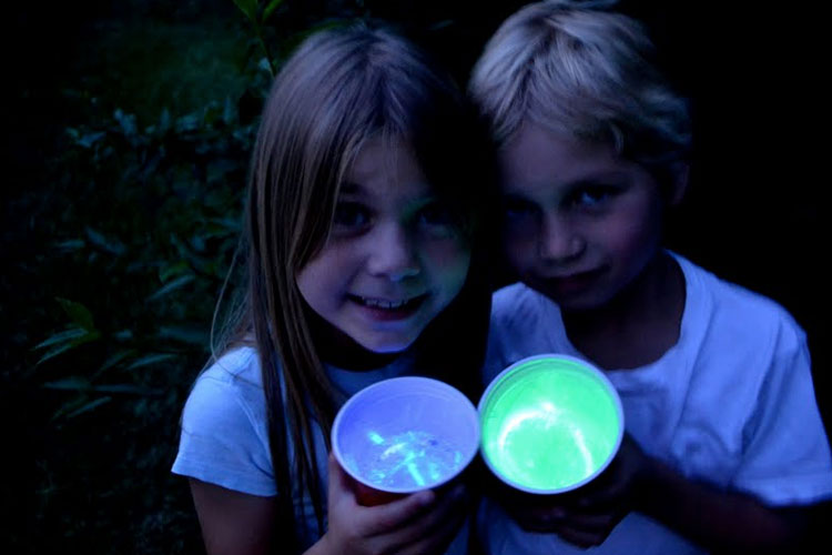 vasos luminosos barritas fluorescentes